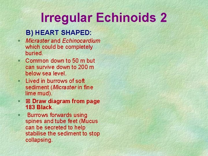 Irregular Echinoids 2 B) HEART SHAPED: § Micraster and Echinocardium which could be completely