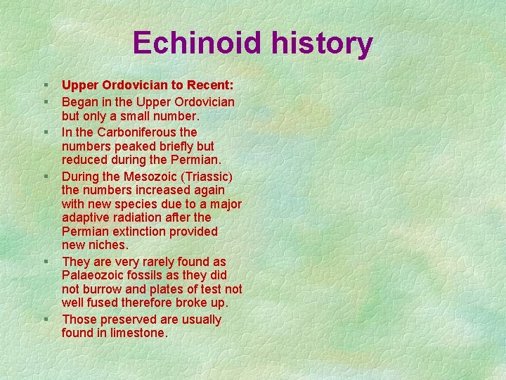 Echinoid history § § § Upper Ordovician to Recent: Began in the Upper Ordovician