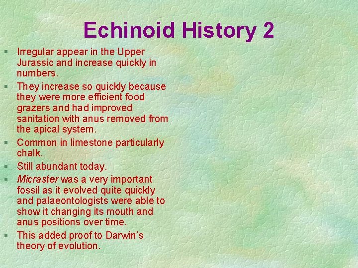 Echinoid History 2 § Irregular appear in the Upper Jurassic and increase quickly in