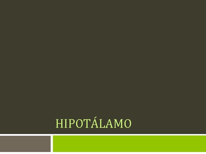 HIPOTÁLAMO 