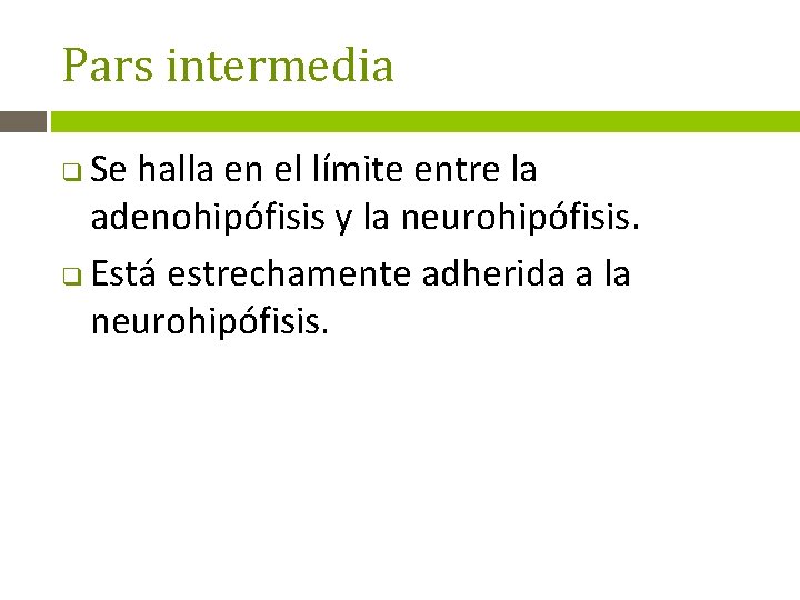 Pars intermedia Se halla en el límite entre la adenohipófisis y la neurohipófisis. q