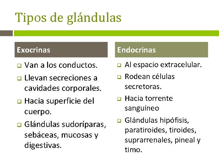 Tipos de glándulas Exocrinas q q Van a los conductos. Llevan secreciones a cavidades