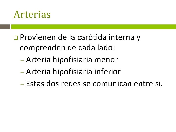 Arterias q Provienen de la carótida interna y comprenden de cada lado: – Arteria