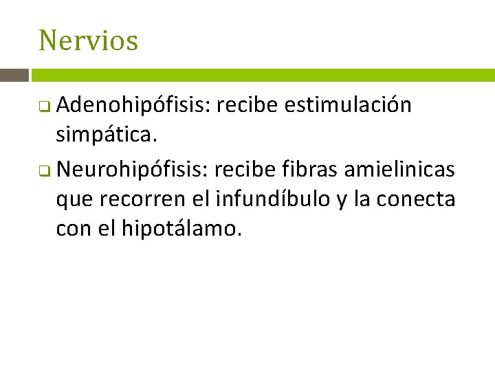 Nervios Adenohipófisis: recibe estimulación simpática. q Neurohipófisis: recibe fibras amielinicas que recorren el infundíbulo