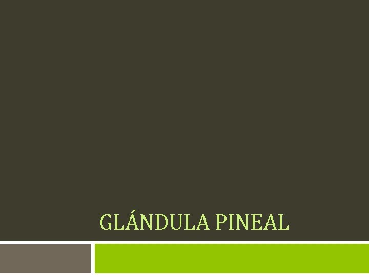 GLÁNDULA PINEAL 