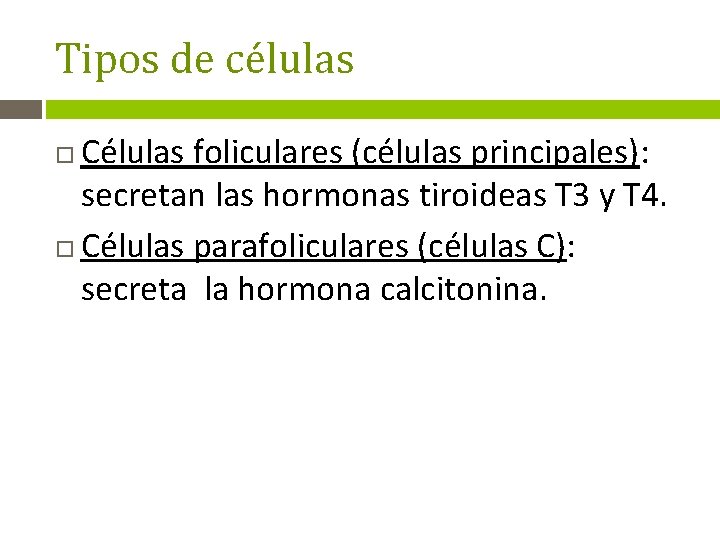 Tipos de células Células foliculares (células principales): secretan las hormonas tiroideas T 3 y