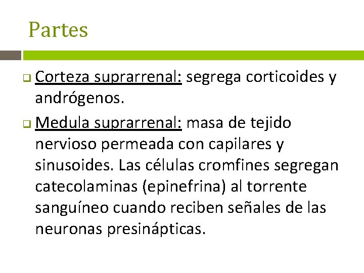 Partes Corteza suprarrenal: segrega corticoides y andrógenos. q Medula suprarrenal: masa de tejido nervioso