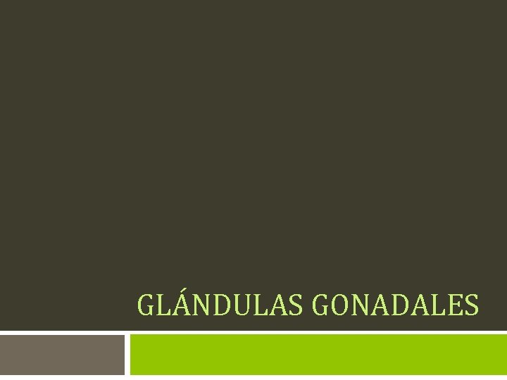 GLÁNDULAS GONADALES 