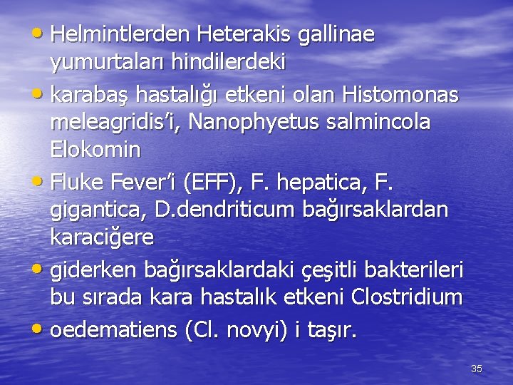  • Helmintlerden Heterakis gallinae yumurtaları hindilerdeki • karabaş hastalığı etkeni olan Histomonas meleagridis’i,