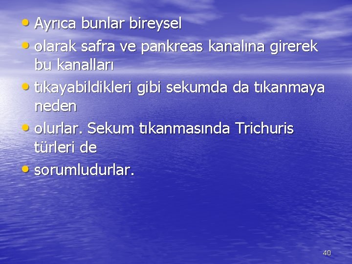  • Ayrıca bunlar bireysel • olarak safra ve pankreas kanalına girerek bu kanalları