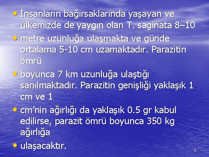  • İnsanların bağırsaklarında yaşayan ve ülkemizde de yaygın olan T. saginata 8– 10