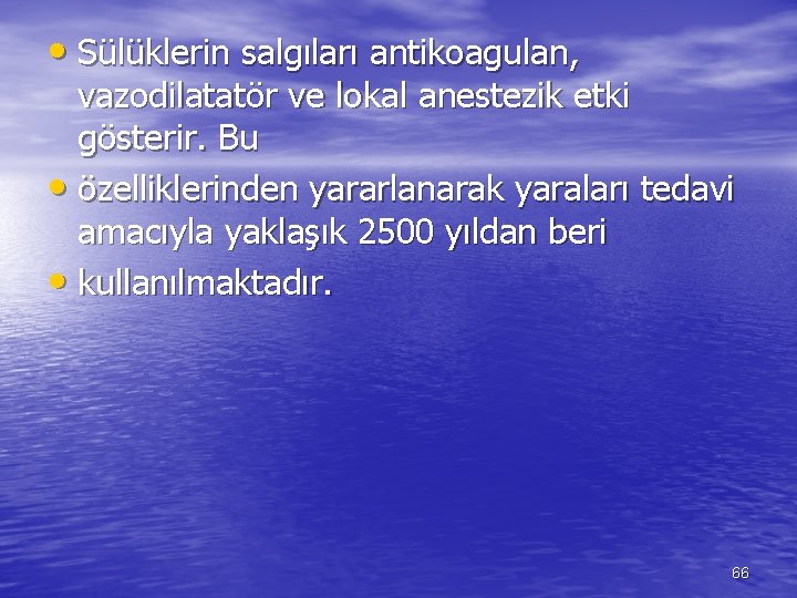  • Sülüklerin salgıları antikoagulan, vazodilatatör ve lokal anestezik etki gösterir. Bu • özelliklerinden