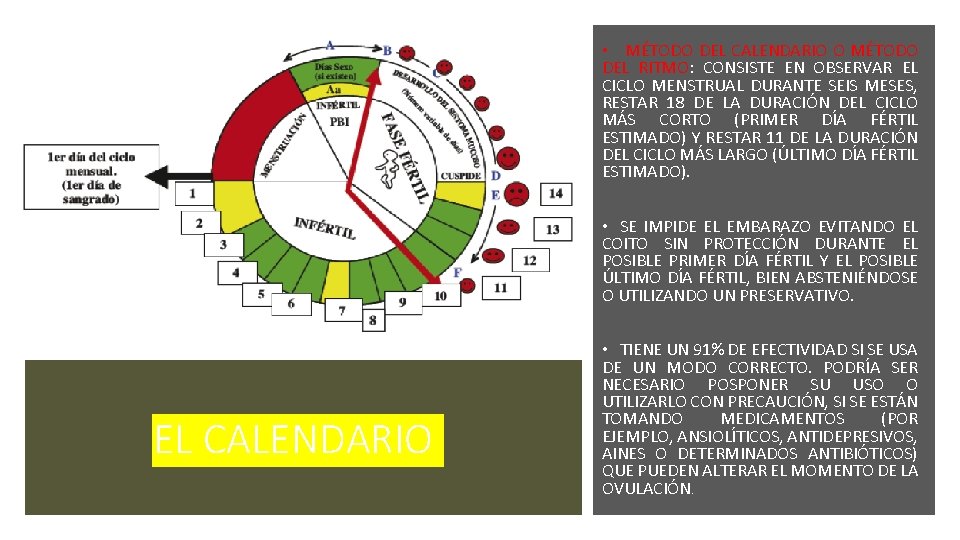  • MÉTODO DEL CALENDARIO O MÉTODO DEL RITMO: CONSISTE EN OBSERVAR EL CICLO
