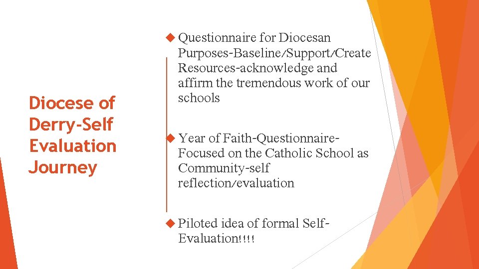  Questionnaire for Diocesan Diocese of Derry-Self Evaluation Journey Purposes-Baseline/Support/Create Resources-acknowledge and affirm the