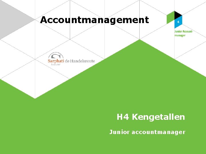 Accountmanagement H 4 Kengetallen Junior accountmanager 