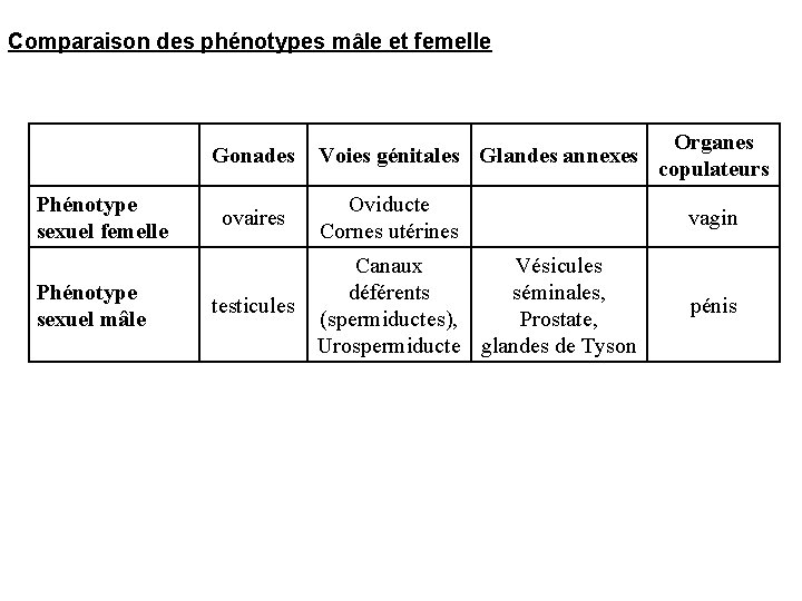 Comparaison des phénotypes mâle et femelle Gonades Phénotype sexuel femelle Phénotype sexuel mâle ovaires