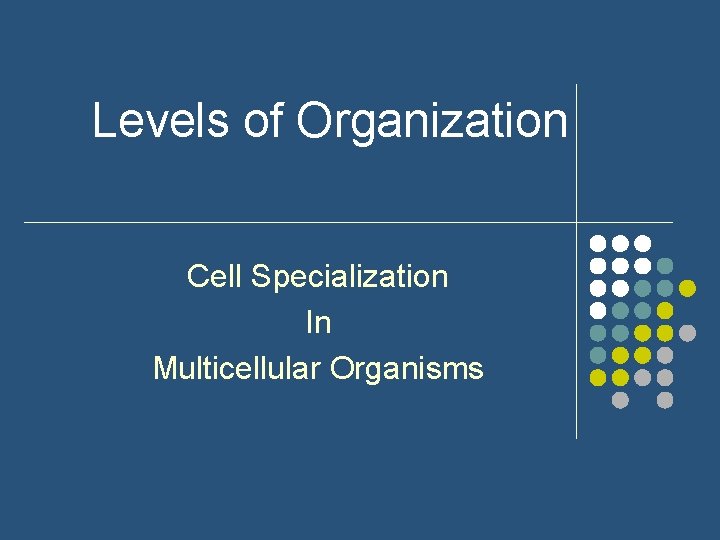 Levels of Organization Cell Specialization In Multicellular Organisms 