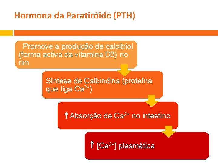 Hormona da Paratiróide (PTH) Promove a produção de calcitriol (forma activa da vitamina D