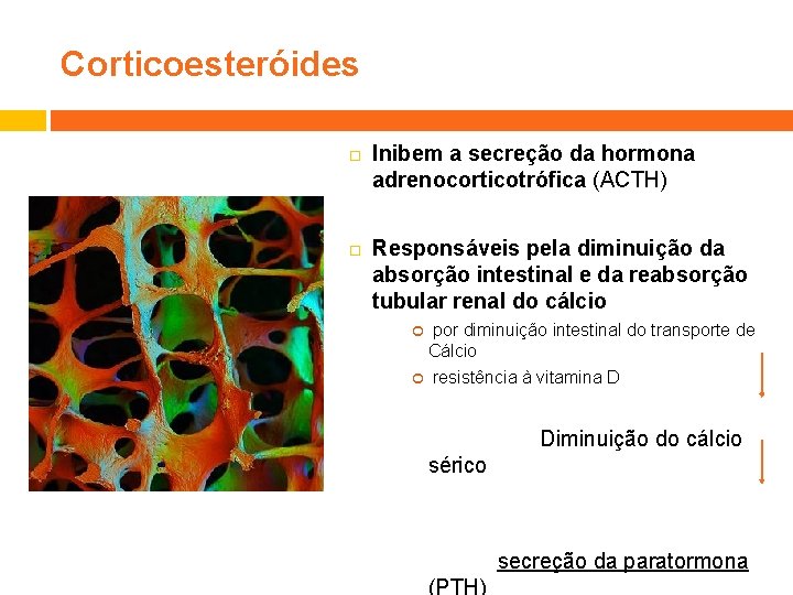 Corticoesteróides Inibem a secreção da hormona adrenocorticotrófica (ACTH) Responsáveis pela diminuição da absorção intestinal
