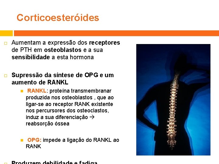 Corticoesteróides Aumentam a expressão dos receptores de PTH em osteoblastos e a sua sensibilidade