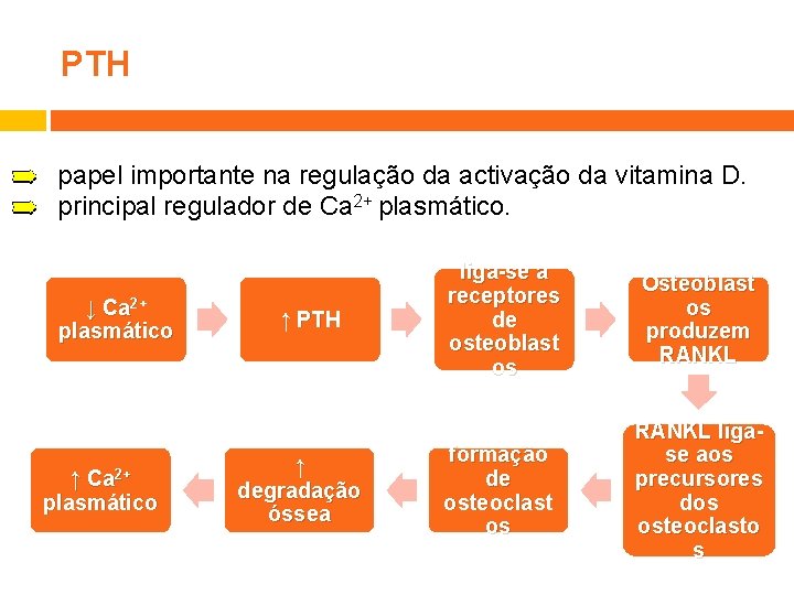 PTH papel importante na regulação da activação da vitamina D. principal regulador de Ca