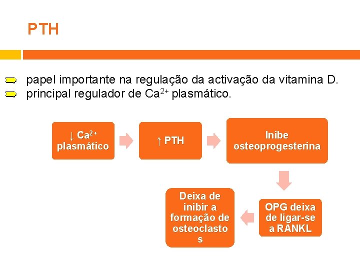 PTH papel importante na regulação da activação da vitamina D. principal regulador de Ca
