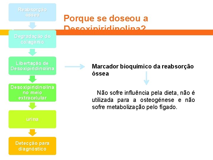 Reabsorção óssea Degradação do colagénio Libertação de Desoxipiridinolina no meio extracelular urina Detecção para