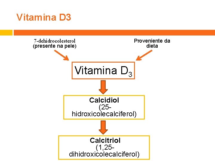 Vitamina D 3 7 -dehidrocolesterol (presente na pele) Proveniente da dieta Vitamina D 3