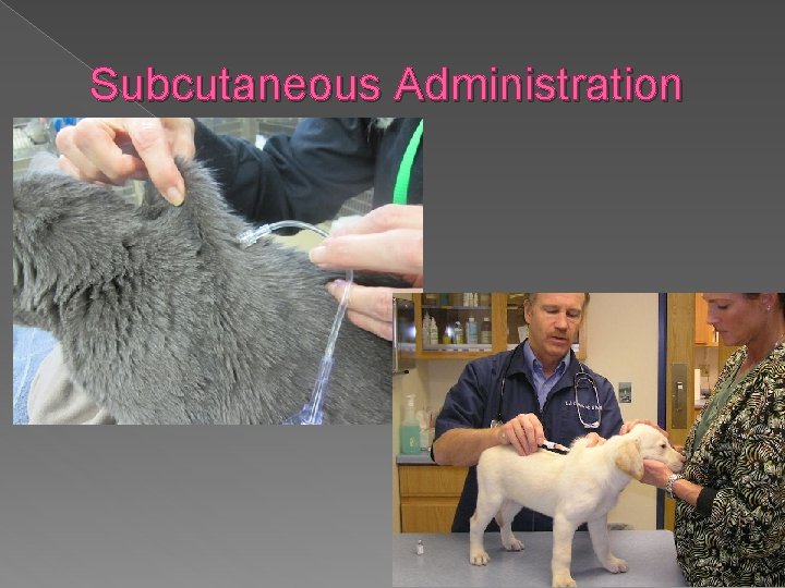 Subcutaneous Administration 