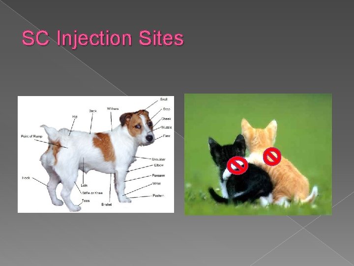 SC Injection Sites 