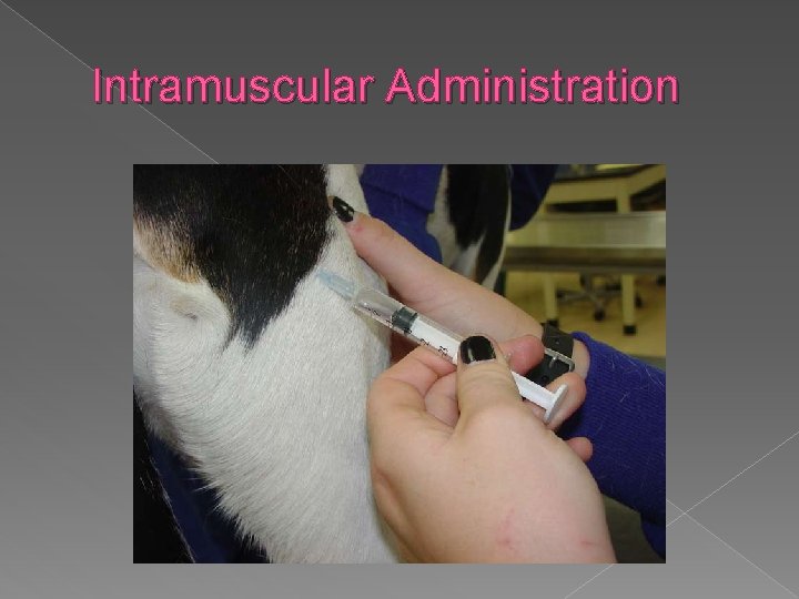 Intramuscular Administration 