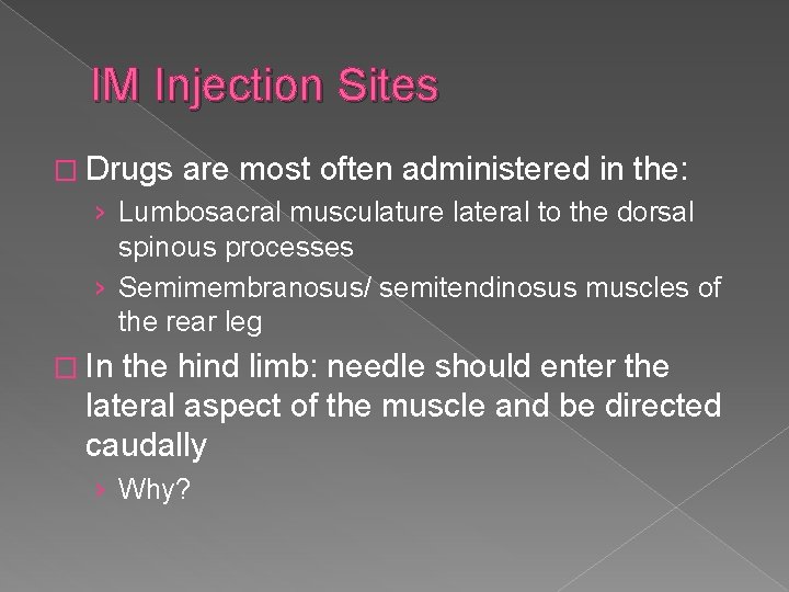 IM Injection Sites � Drugs are most often administered in the: › Lumbosacral musculature