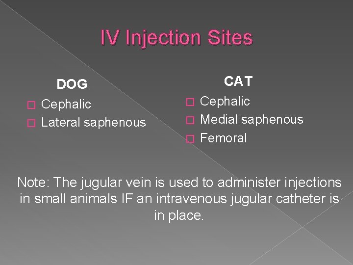 IV Injection Sites CAT DOG Cephalic � Lateral saphenous � Cephalic � Medial saphenous