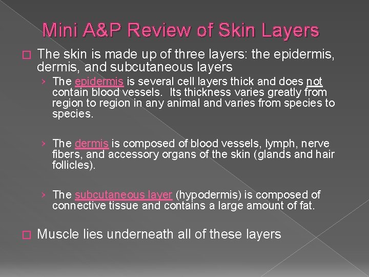 Mini A&P Review of Skin Layers � The skin is made up of three