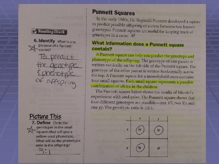 How to Solve a Punnet Square Notes 1