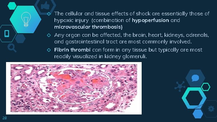 ◇ ◇ ◇ 28 The cellular and tissue effects of shock are essentially those