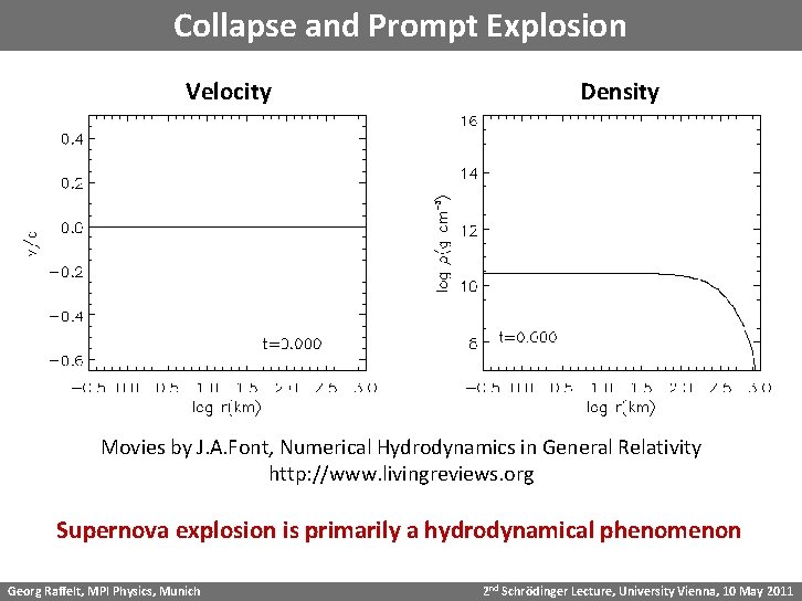 Collapse and Prompt Explosion Velocity Density Movies by J. A. Font, Numerical Hydrodynamics in