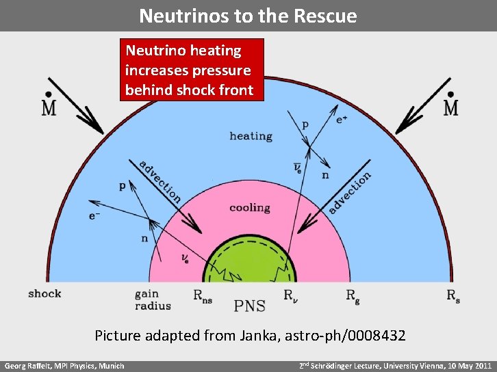 Neutrinos to the Rescue Neutrino heating increases pressure behind shock front Picture adapted from