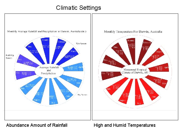 Climatic Settings About Darwin, Australia Abundance Amount of Rainfall High and Humid Temperatures 