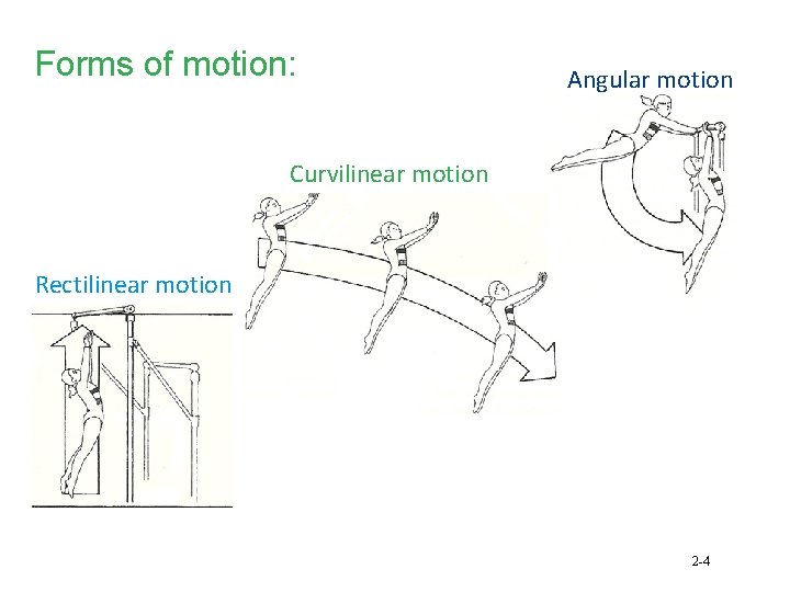 Forms of motion: Angular motion Curvilinear motion Rectilinear motion 2 -4 