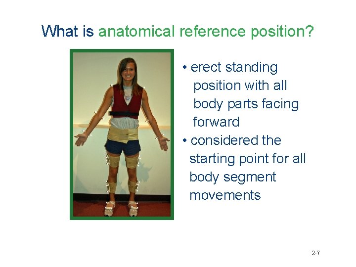 What is anatomical reference position? • erect standing position with all body parts facing