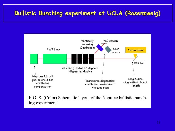 Bullistic Bunching experiment at UCLA (Rosenzweig) 12 