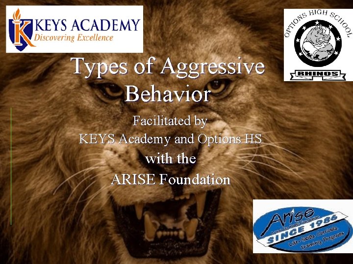 Types of Aggressive Behavior Facilitated by KEYS Academy and Options HS with the ARISE