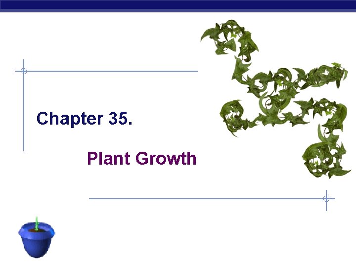 Chapter 35. Plant Growth AP Biology 