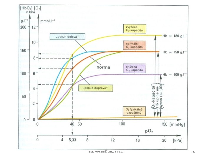 doc. Ph. Dr. Lukáš Cipryan, Ph. D. 32 