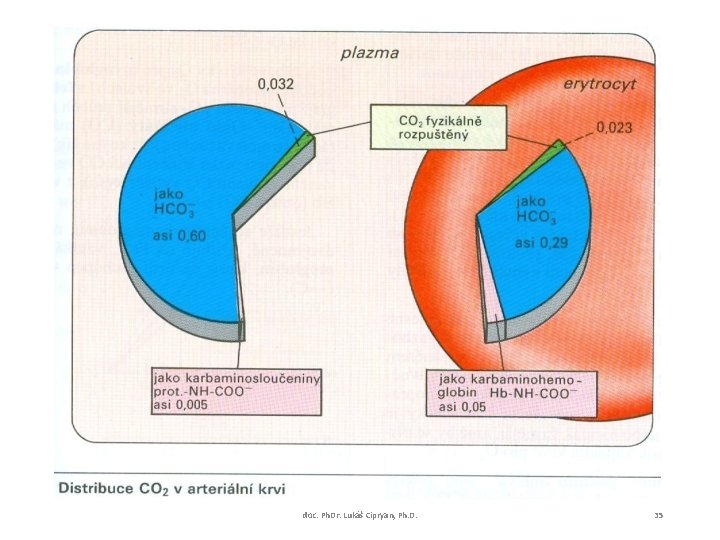 doc. Ph. Dr. Lukáš Cipryan, Ph. D. 35 