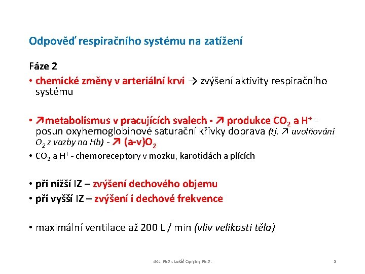 Odpověď respiračního systému na zatížení Fáze 2 • chemické změny v arteriální krvi →