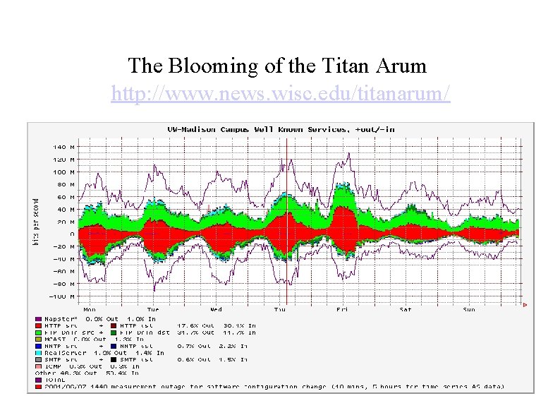 The Blooming of the Titan Arum http: //www. news. wisc. edu/titanarum/ 