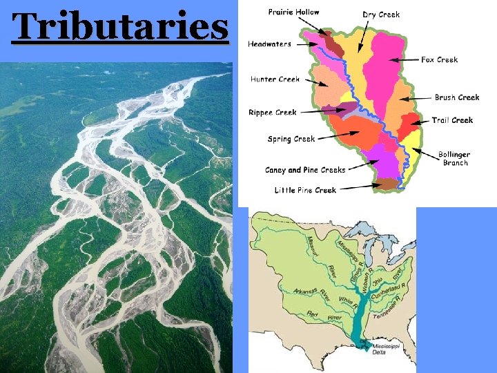 Tributaries 