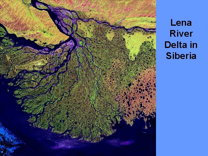 Lena River Delta in Siberia 